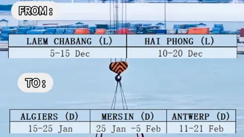 Fast loading • Stable schedule • Project-cargo friendly